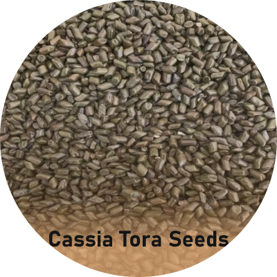 Cassia Tora Seeds