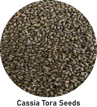Cassia